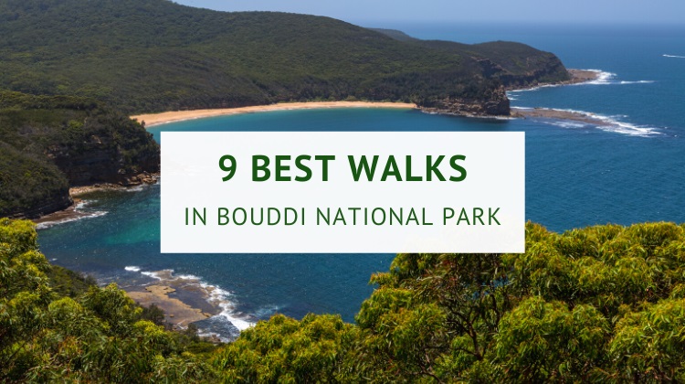 Bouddi National Park walks