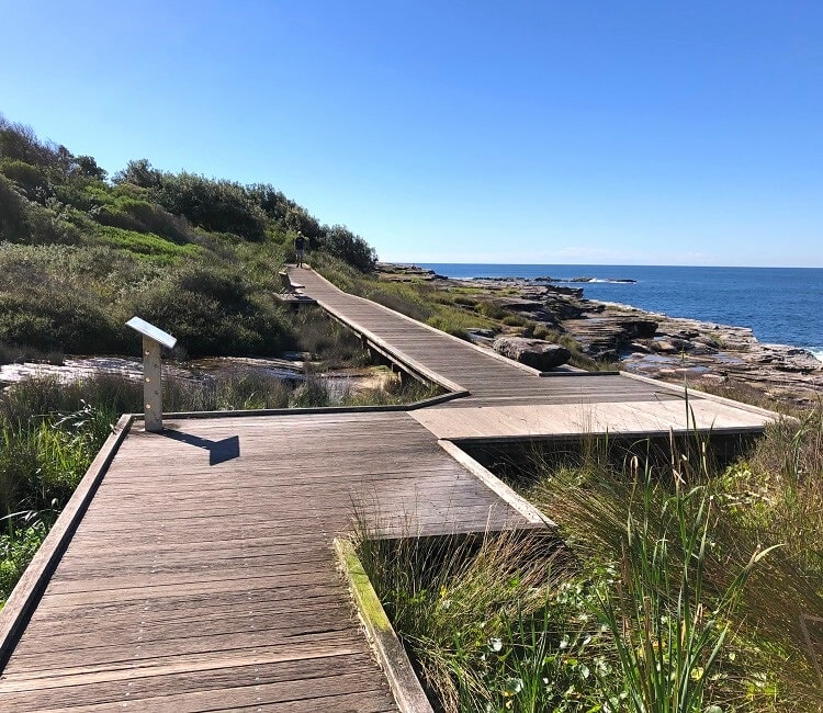 South Coogee Wetlands