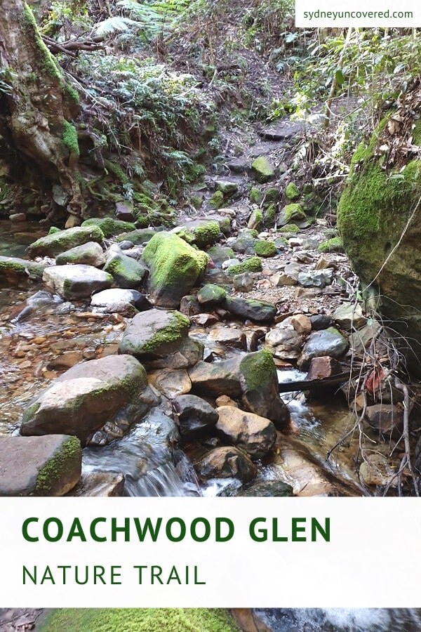 Coachwood Glen Nature Trail in Megalong Valley