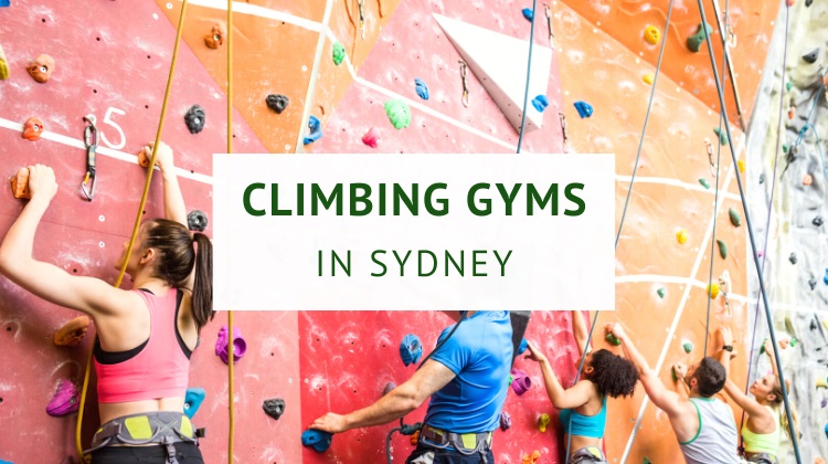 Indoor rock climbing and bouldering gyms in Sydney