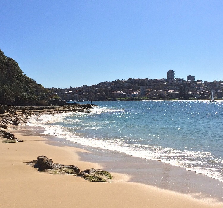 Reef Beach in Balgowlah Heights