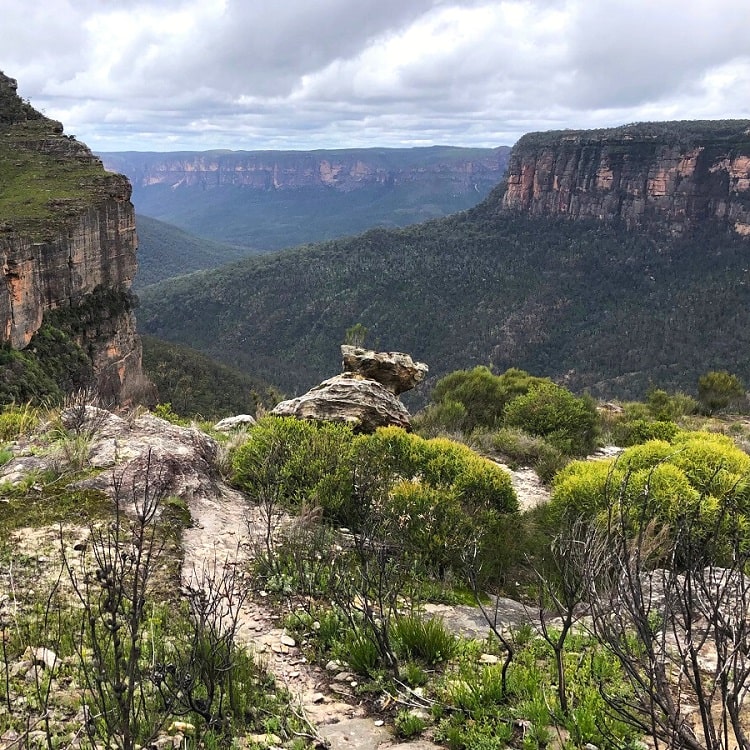 Walls Lookout walking track in the Blue Mountains