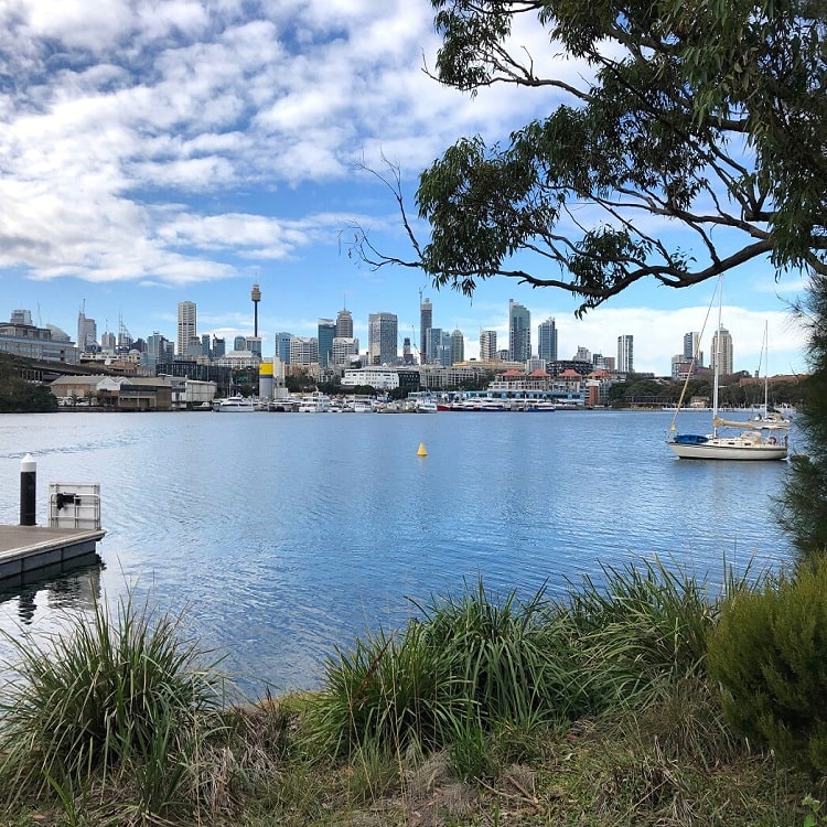 City views from Blackwattle Bay Park