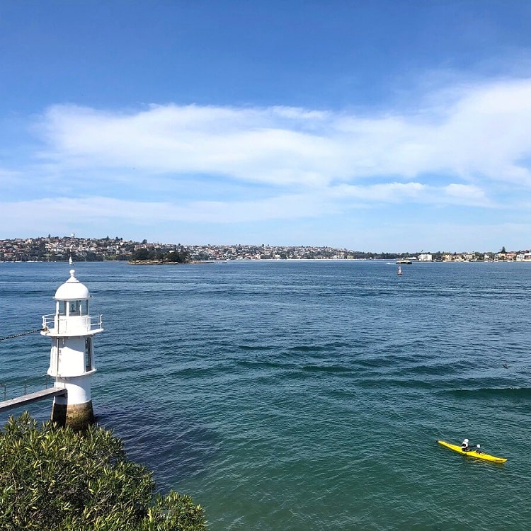 Harbour views from Bradleys Head