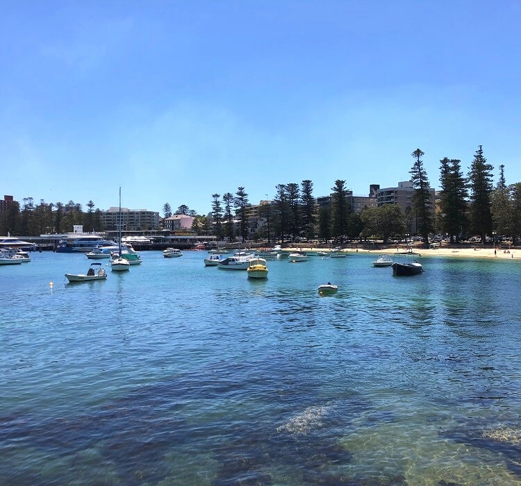 East Manly Cove Beach