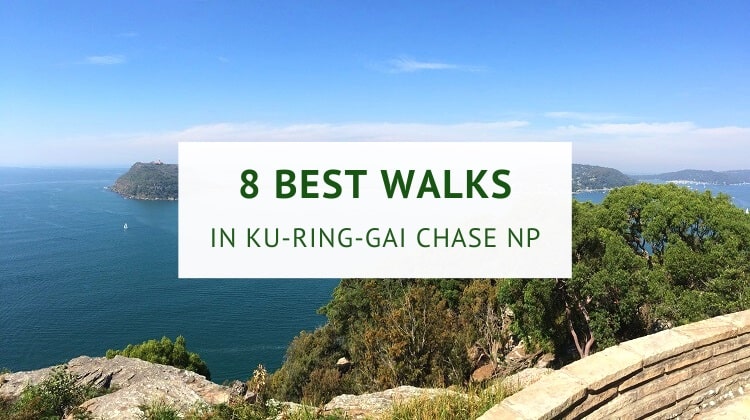 Walks in Ku-ring-gai Chase National Park