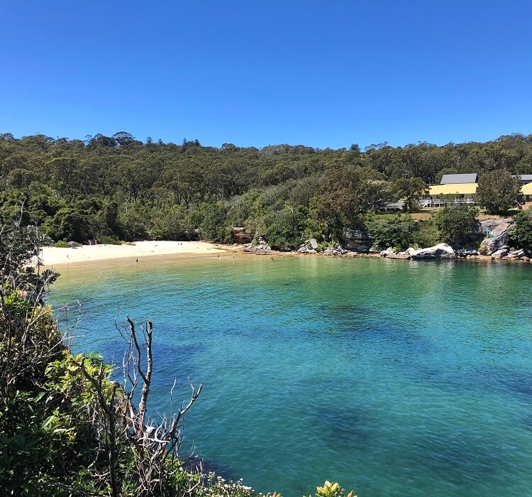 Collins Beach in Manly