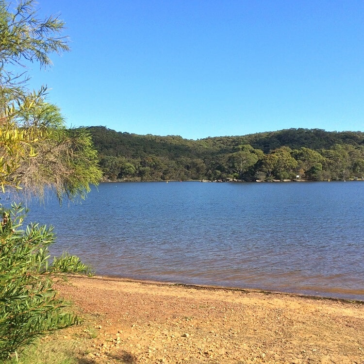 Lake in Manly Dam Reserve
