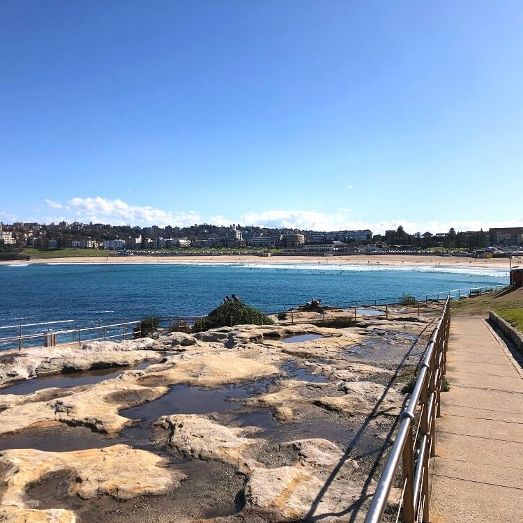 Ray O'Keefe Reserve in North Bondi