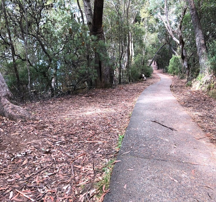 Walking path to Sublime Point