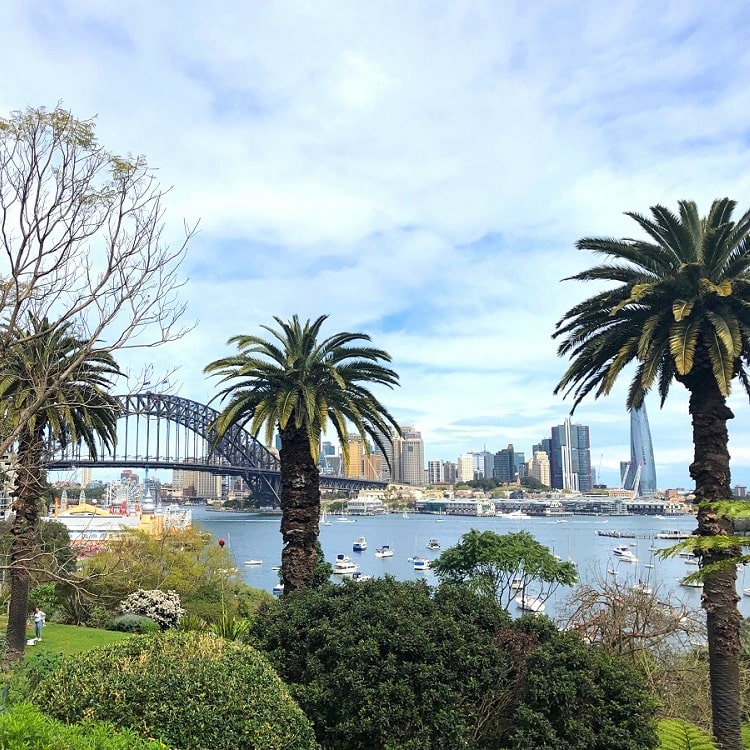 Lavender Bay views from Wendy's Secret Garden