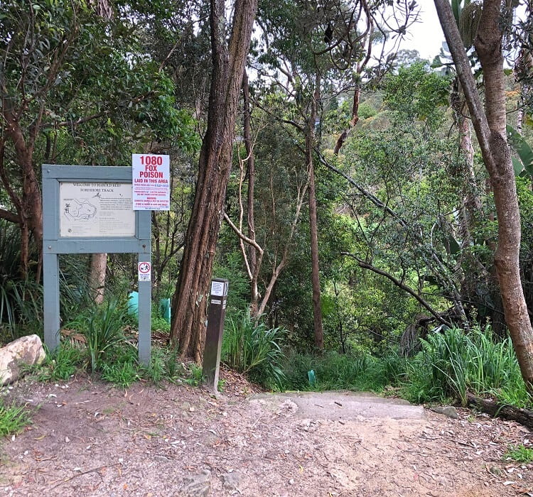 Start of the Harold Reid Foreshore Track