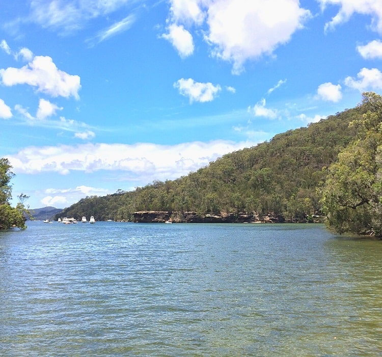 Cowan to Brooklyn via Jerusalem Bay