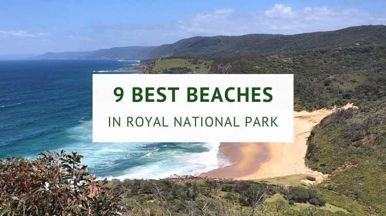 Beaches in Royal National Park