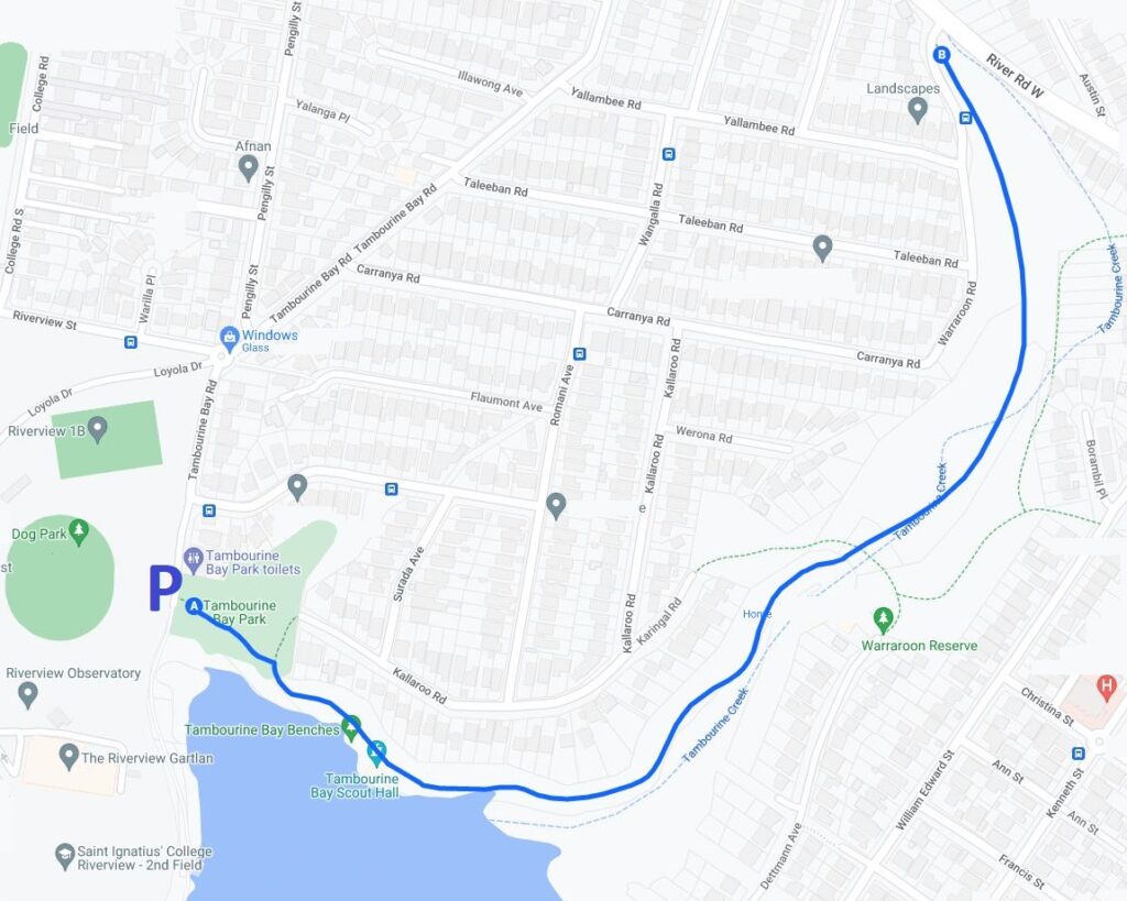 Tambourine Bay Park to Warraroon Reserve Walk