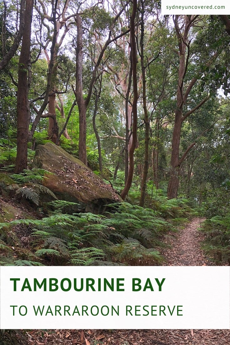 Tambourine Bay Park to Warraroon Reserve