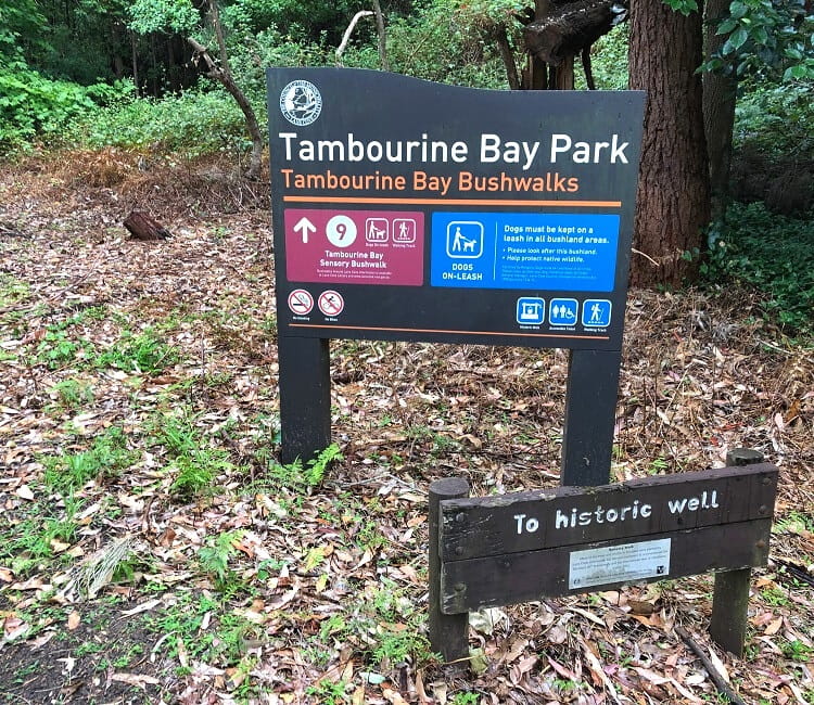 Sensory Bushwalk at Tambourine Bay