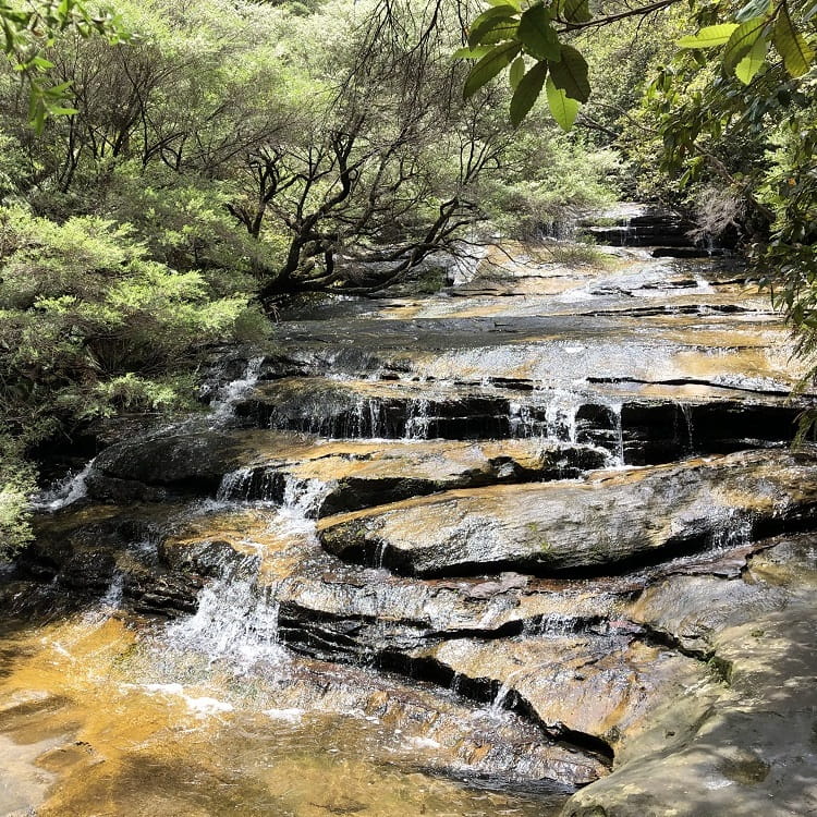 Leura Cascades