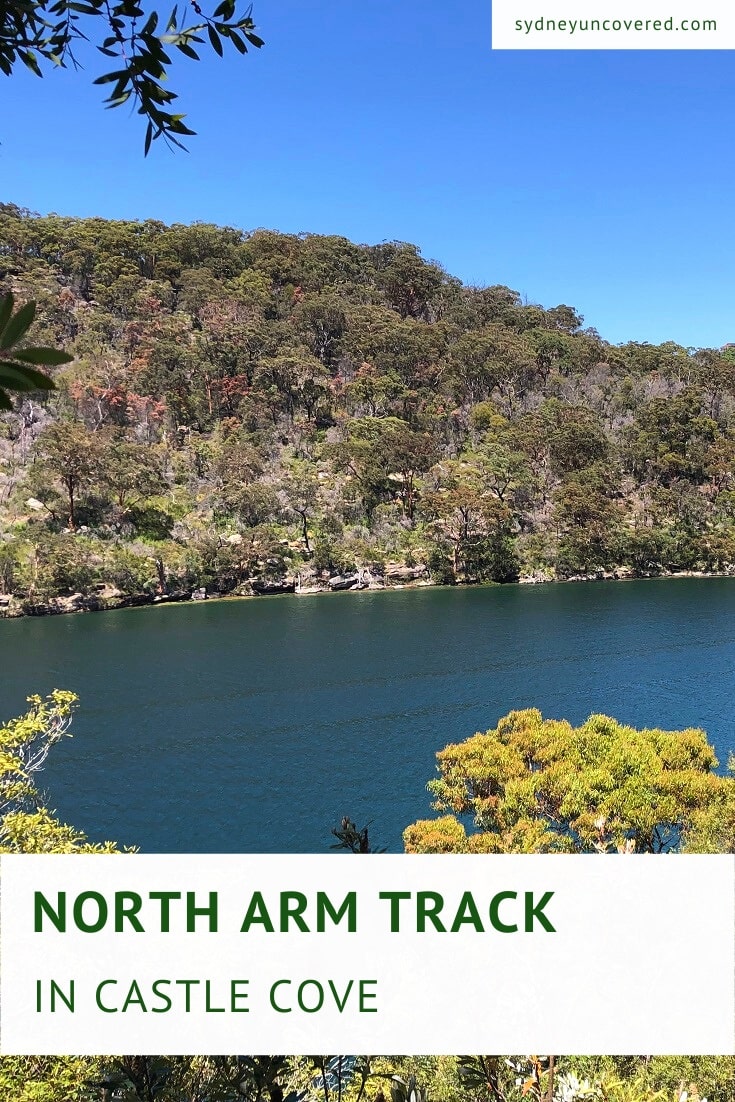 North Arm Walking Track in Castle Cove