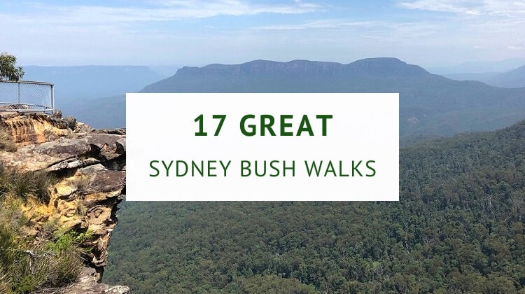 Bush walks in Sydney