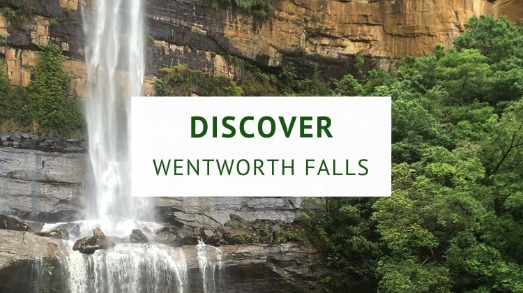 Wentworth Falls walks and lookouts (hiking guide)