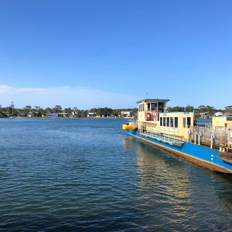 hastings river cruise port macquarie