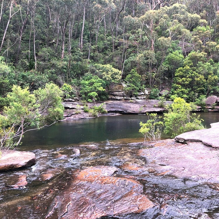 Karloo Pools in Royal National Park