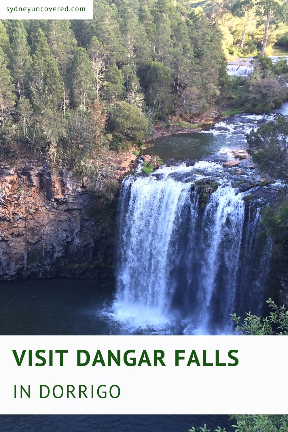 Dangar Falls in Dorrigo NSW