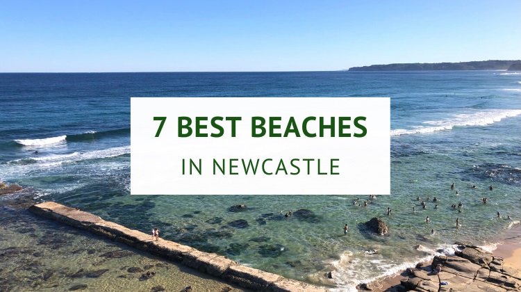 Newcastle beaches