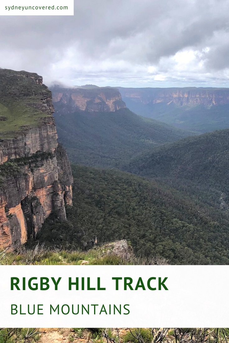Rigby Hill track in the Blue Mountains