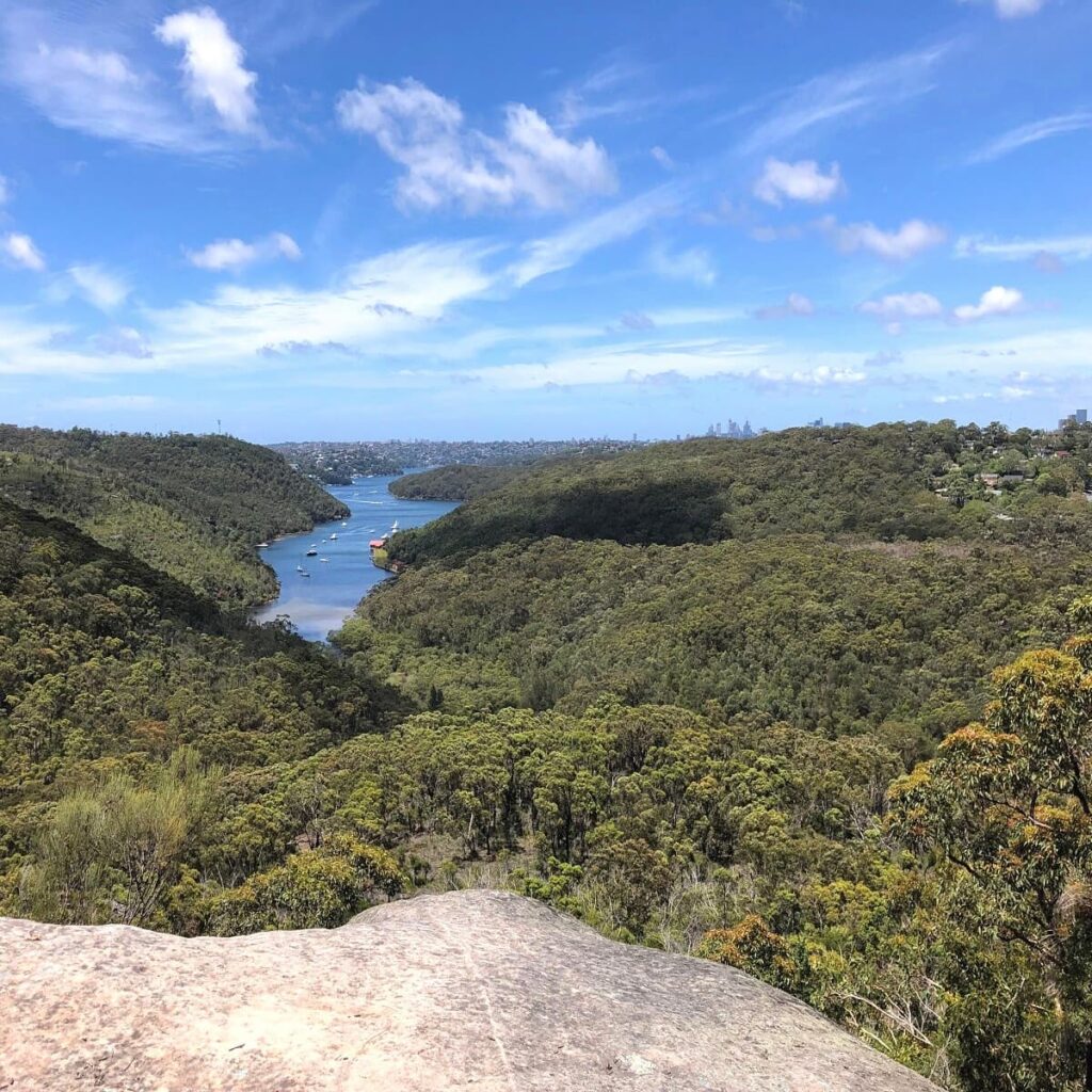 17 Most Beautiful Bush Walks in Sydney