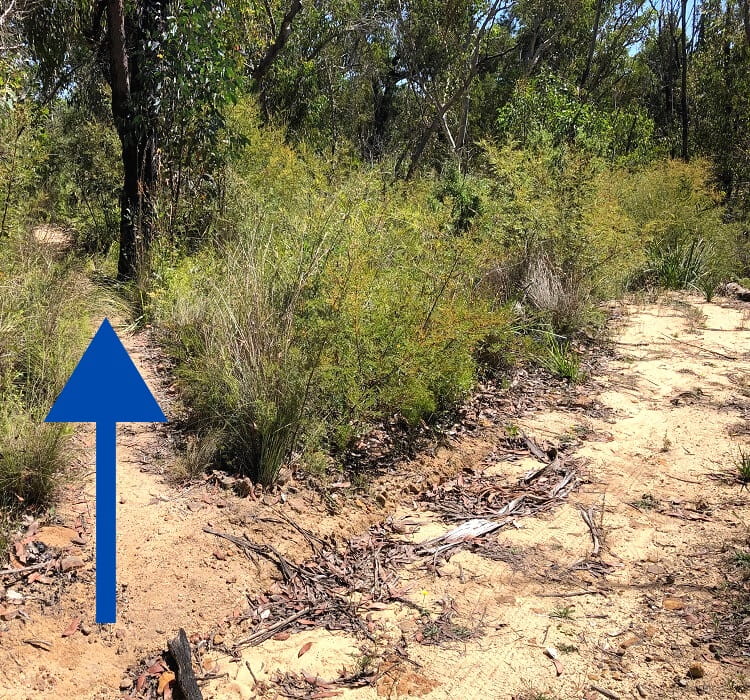 Trailhead to Ikara Head