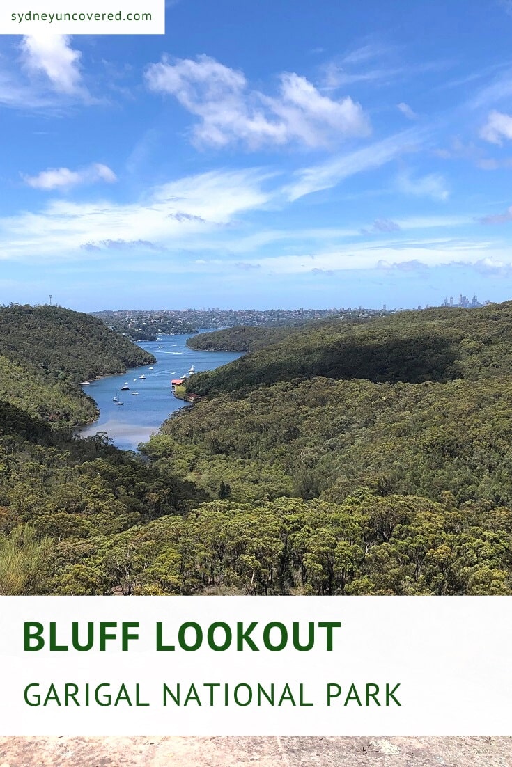 Bluff Lookout in Garigal National Park