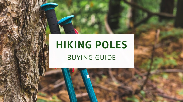 Best hiking poles for longer walks and treks