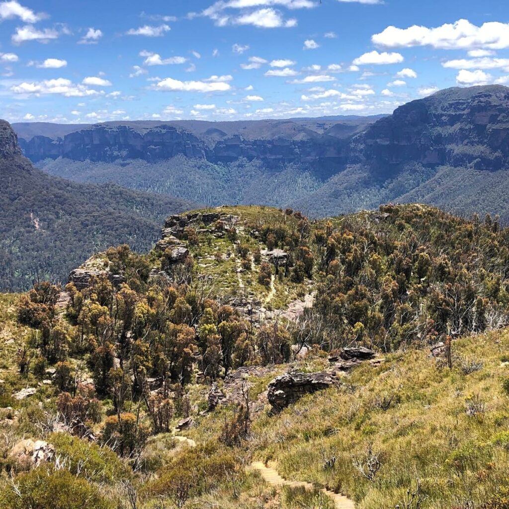 18 Best Walks in the Blue Mountains Sydney Uncovered