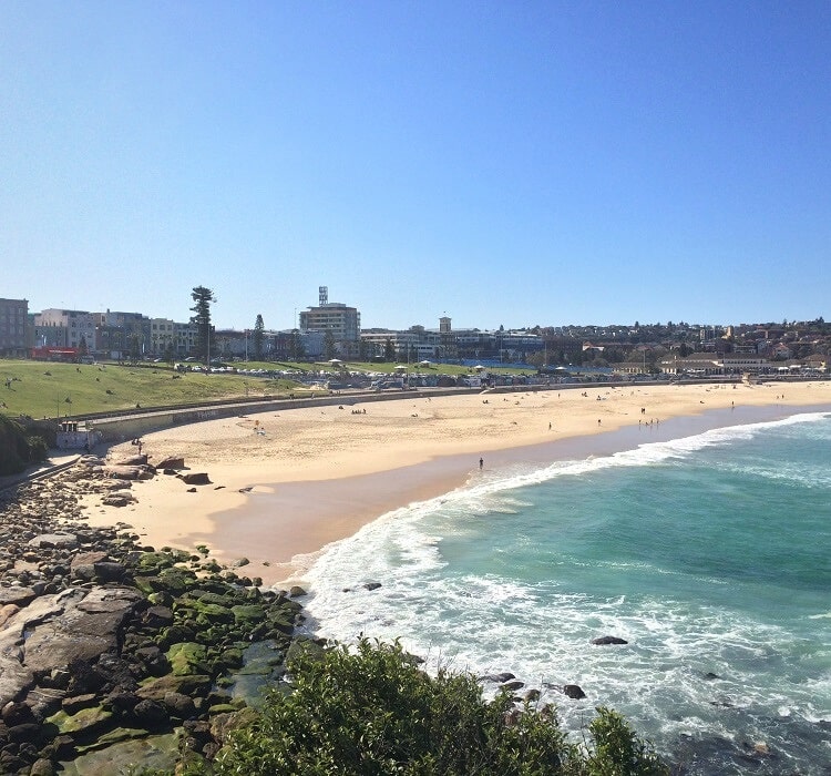 Bondi to Coogee Walk