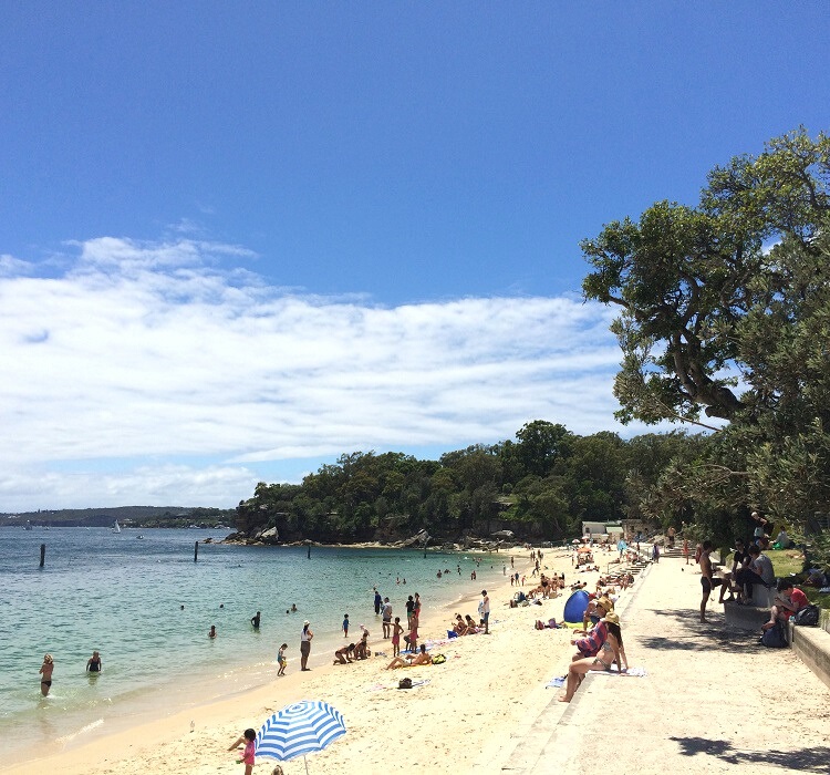 Shark Beach at Nielsen Park