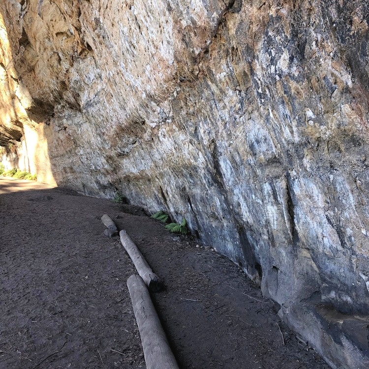 The Blackfellows Hand Cave served as a shelter