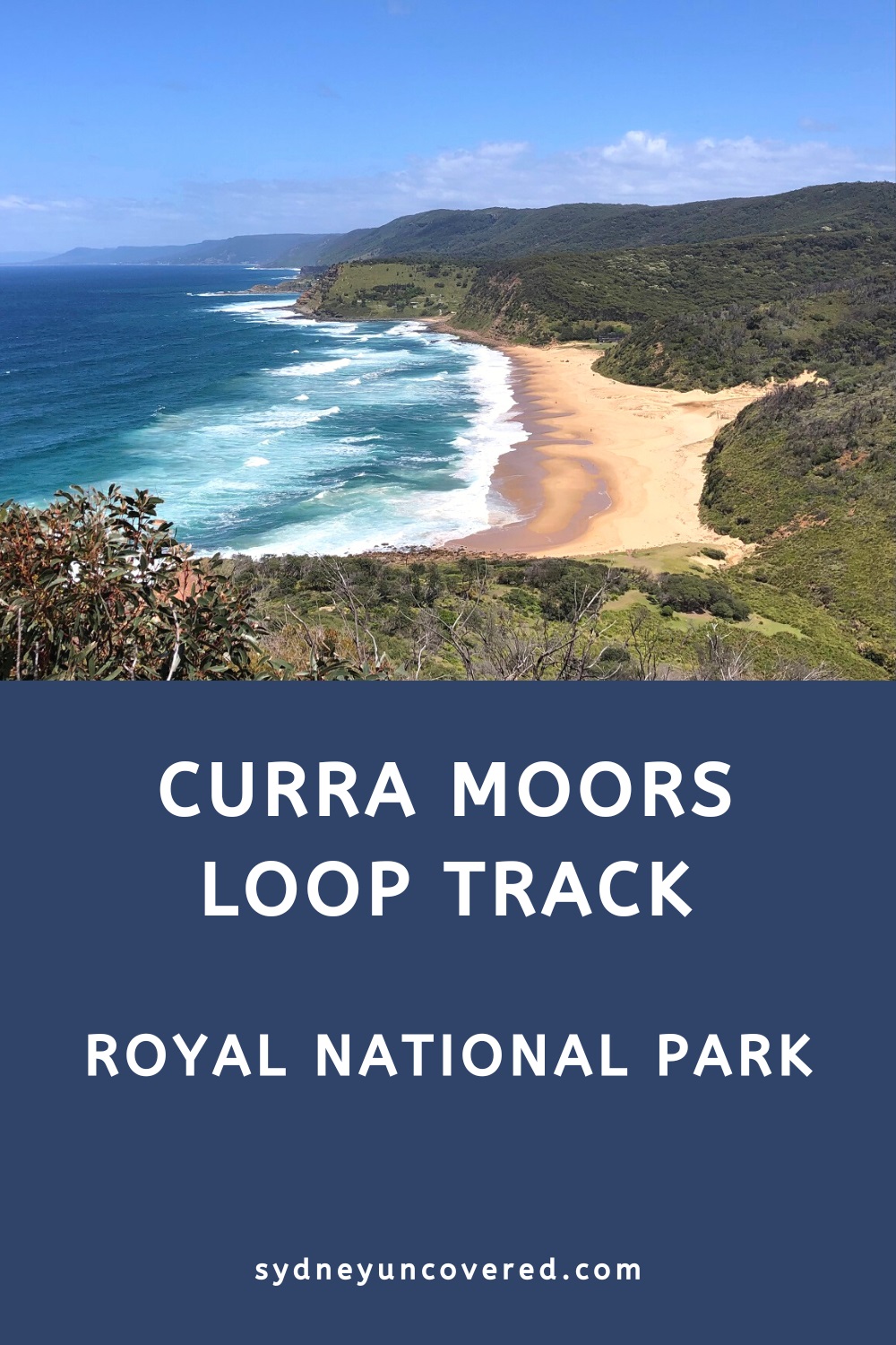Curra Moors Loop Track in Royal National Park