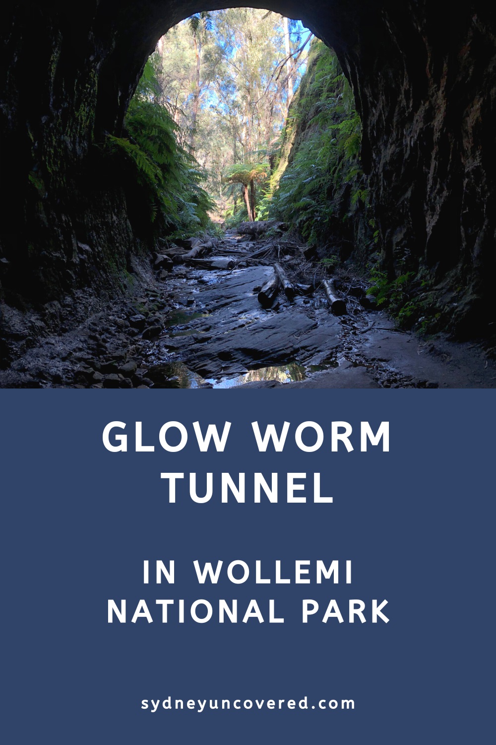 Glow Worm Tunnel walking track in Wollemi National Park