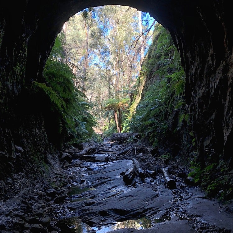 Inside the Glow Worm Tunnel