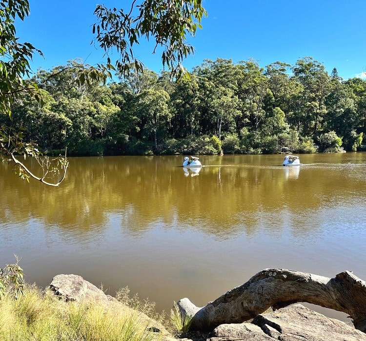 Hire a boat at Lake Parramatta