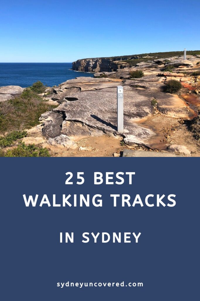 25 Best Walks and Hikes in Sydney