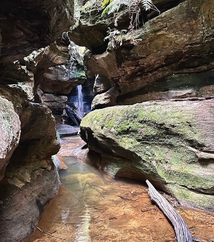 Centennial Grove Grotto Canyon