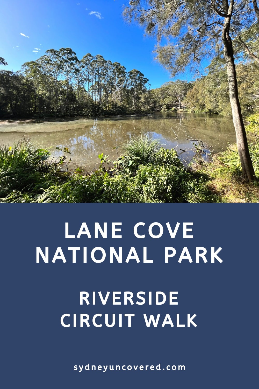 Lane Cove National Park riverside circuit walk