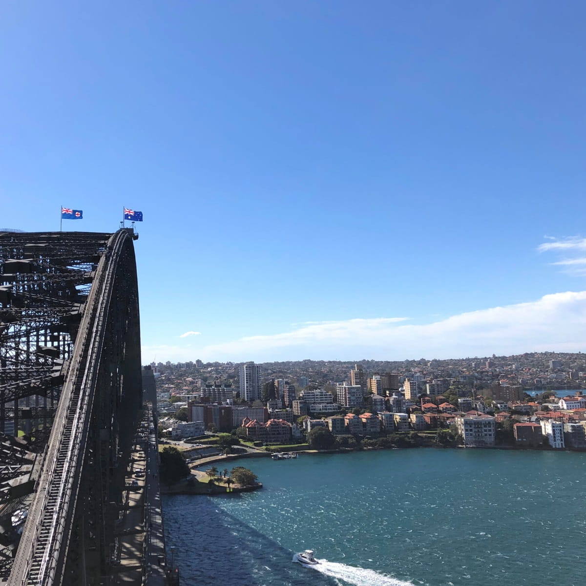 Harbour Bridge views from the Pylon Lookout