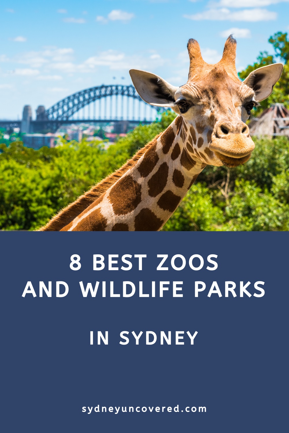8 Best wildlife parks and zoos in Sydney