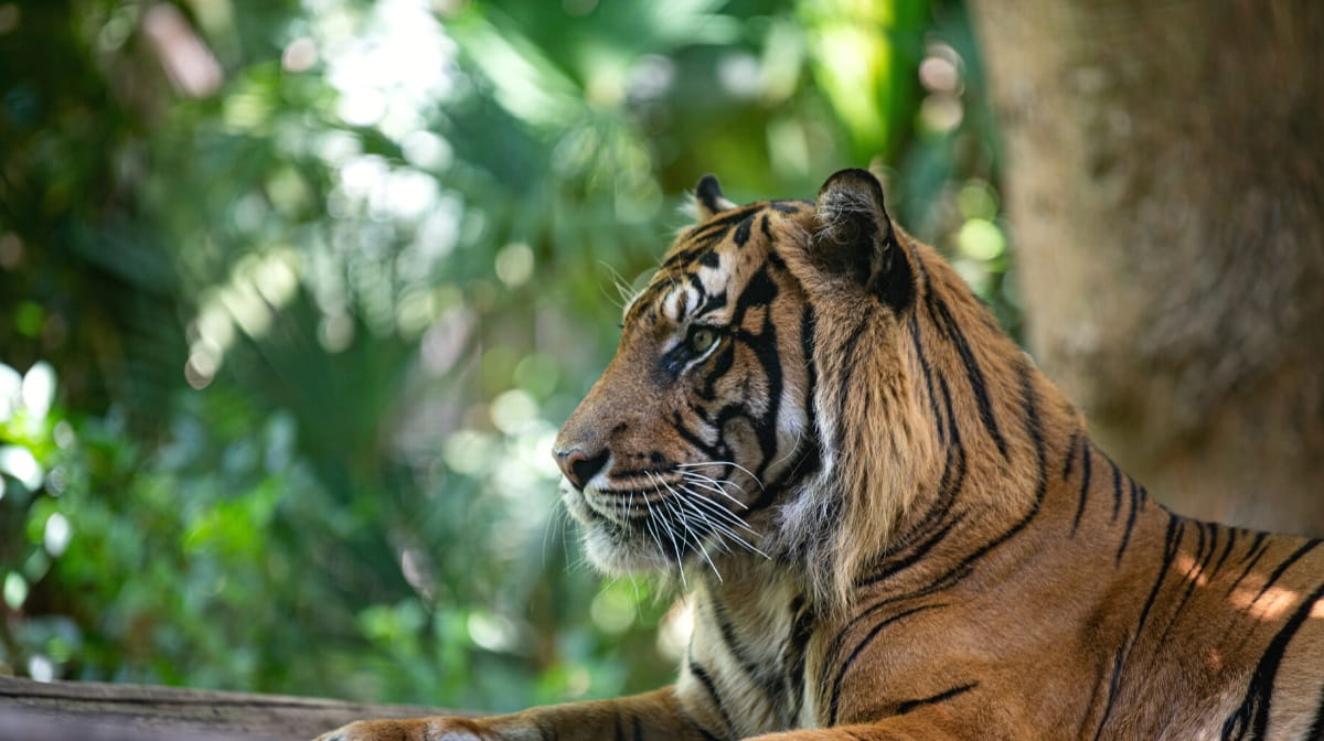 Best zoos and wildlife parks in Sydney