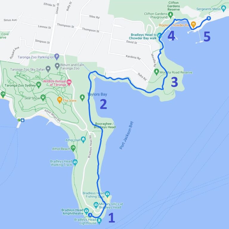 Bradleys Head to Chowder Bay Walk Sydney Uncovered