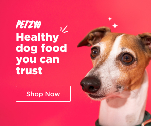 Petzyo dog food